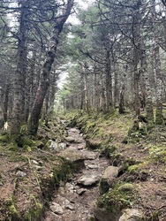 New Hampshire: Trail