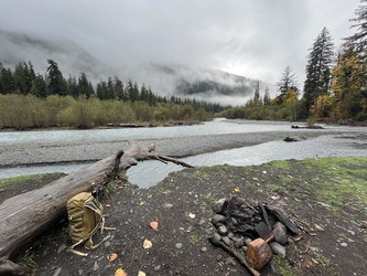 Olympic: Hoh Rainforest Vista