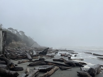 Olympic: beach