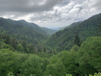 Smoky Mountains: Valley