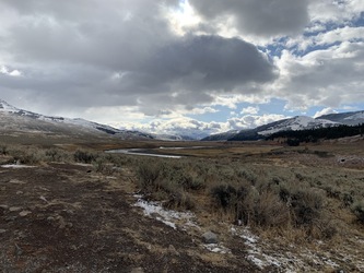 Yellowstone: Lamar Valley