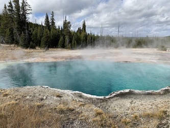 Yellowstone: Spring